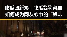 吃瓜圈新宠：吃瓜酱狗帮猫如何成为网友心中的“娱乐侦探”