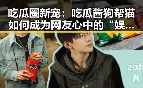 吃瓜圈新宠：吃瓜酱狗帮猫如何成为网友心中的“娱乐侦探”